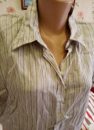 Сорочка сорочка блуза з коротким рукавом
