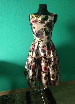 Сукня сукня marina dress chi chi london