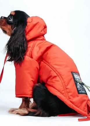 Парка denim в кольорі  корал: стильна і зручна куртка для ваших улюблених собак!1 фото