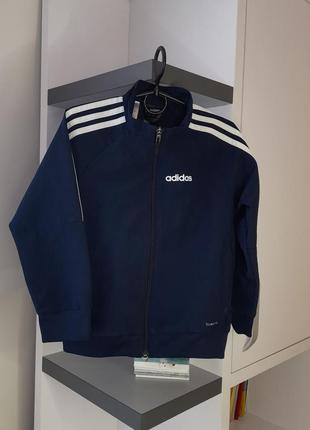 Кофта adidas, олімпійка adidas