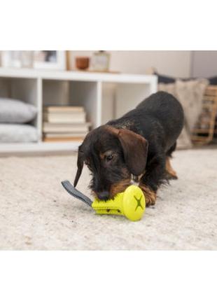 Игрушка для собак trixie колокольчик с веревкой для лакомства 11×22 см (резина) (4011905334127)3 фото