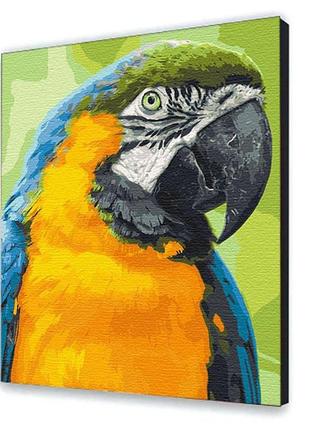 Картина по номерам птицы попугай ара 38х50 см арт-крафт (11626-ac)1 фото