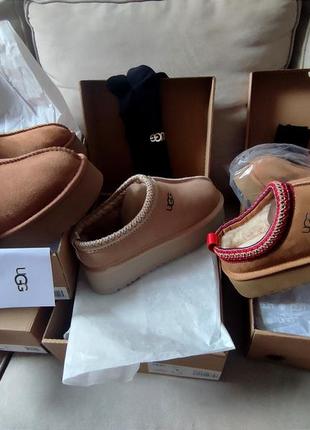 Ugg tazz 3400+носки ugg а подарунок