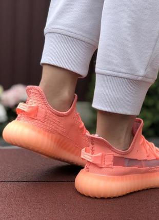 Крутые женские кроссовки adidas yeezy boost 350 v2 коралловые4 фото