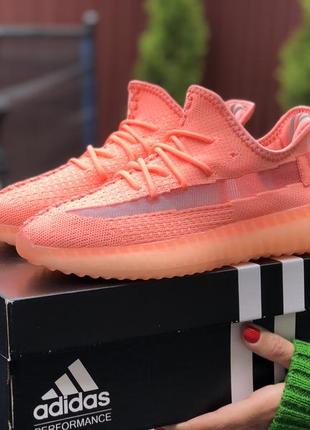 Крутые женские кроссовки adidas yeezy boost 350 v2 коралловые1 фото