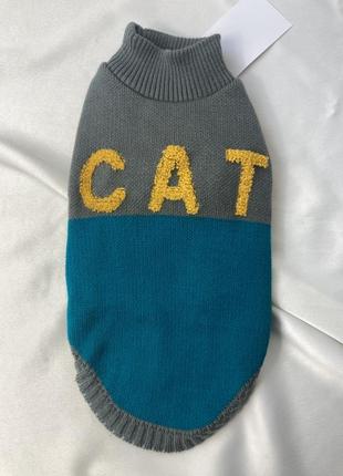 Одяг для котів