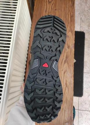 Salomon 6
