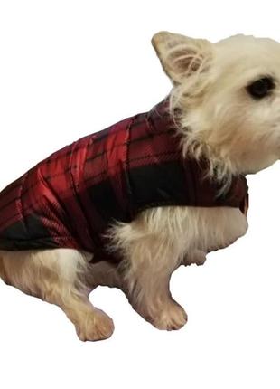 Куртка для собак с утеплителем, водонепроницаемая, made china6 фото