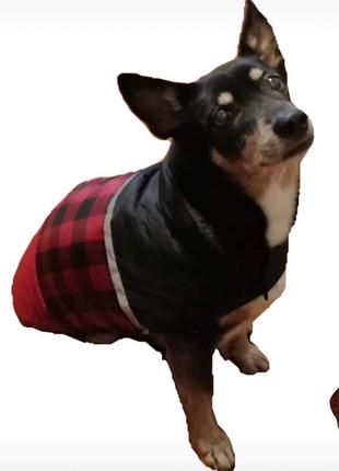 Куртка для собак с утеплителем, водонепроницаемая, made china3 фото