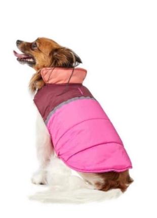 Куртка для собак с утеплителем, водонепроницаемая, made china8 фото