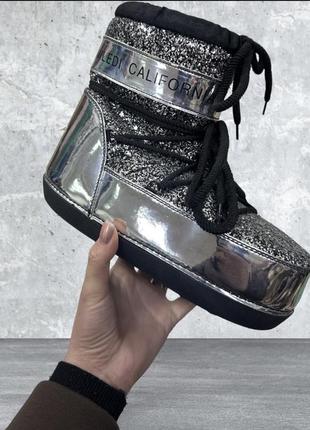 Луноходы серебряные