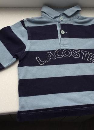 Детский реглан лонгслив lacoste
