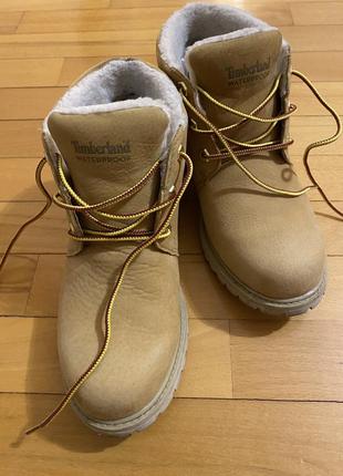 Боти timberland2 фото