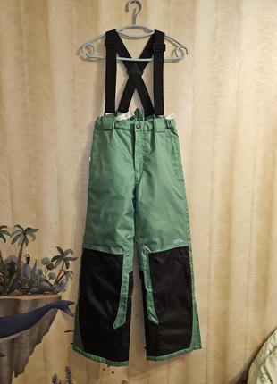 Полукомбинезон, лыжные штаны, зимние термо брюки cfl7 фото