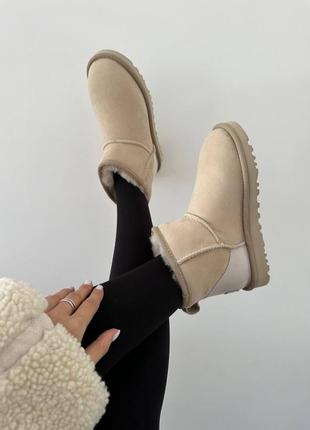 Жіночі уггі бежеві у стилі ugg mini
mustard seed lacquer premium5 фото