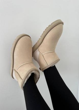 Жіночі уггі бежеві у стилі ugg mini
mustard seed lacquer premium4 фото