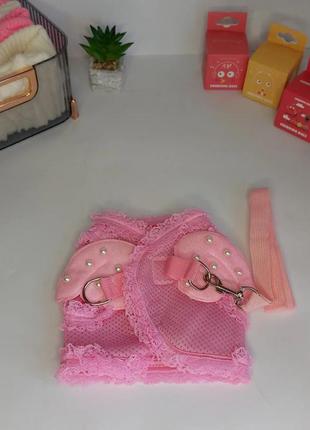 Шлея + повідець