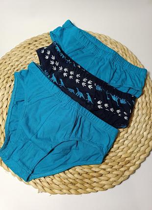 Труси набором 3 пари, р.110/116