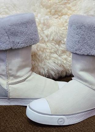 Стильные женские зимние сапожки от топового австралийского бренда ugg! как новые!1 фото