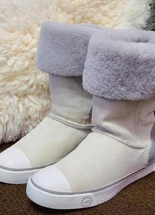 Стильные женские зимние сапожки от топового австралийского бренда ugg! как новые!2 фото