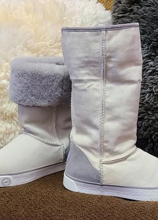 Стильные женские зимние сапожки от топового австралийского бренда ugg! как новые!5 фото