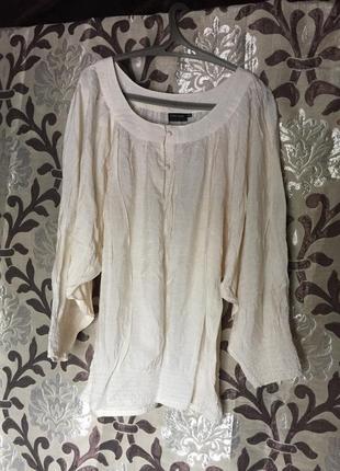 Блуза великий розмір