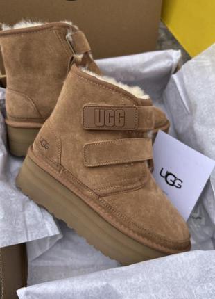 Ugg neumel platform 5 см, угги на липучках на платформе черные и коричневые