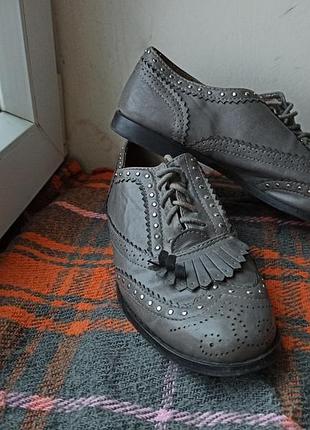 Сірі туфлі (броги) з перфорацією