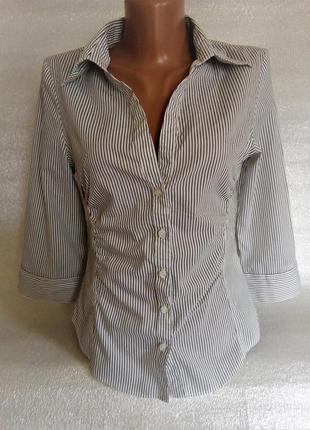 Рубашка, блуза, деловая, офис в полоску с рукавом 3/41 фото