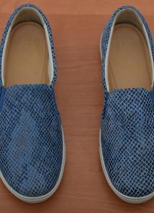 Синие кожаные кеды, кроссовки, слипоны в змеиный принт hotter, 36 размер. оригинал2 фото