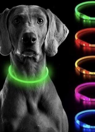 Нашийник із підсвіткою для собак в асортименті кольорів на вибір, usb 70 см, нічник для собак