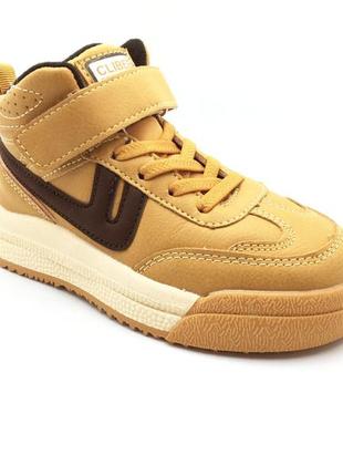 Демісезонні черевики для хлопчиків clibee h-312a/26 коричневі 26 розмір