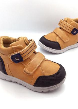 Демисезонные ботинки для мальчиков clibee p545/24 коричневий 24 размер6 фото