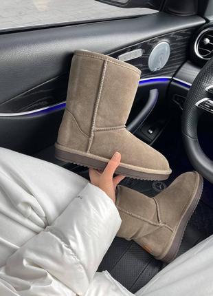 Ugg розпродаж