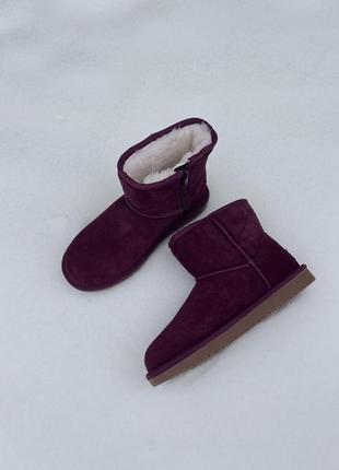 Зимові замшеві черевики уггі koolaburra by ugg.