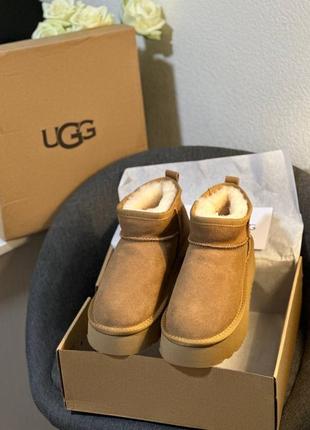 В наличии 39,40! mini на платформе ржи угги ugg ultra high platform