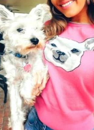 Яскравий светр gap із мериносової вовни з принтом собаки4 фото