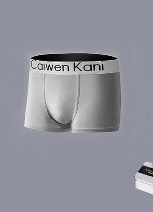 Набор мужских боксеров caiwen kani 3xl в подарочной коробке на резинке из 4 шт трусов 3шт3 фото
