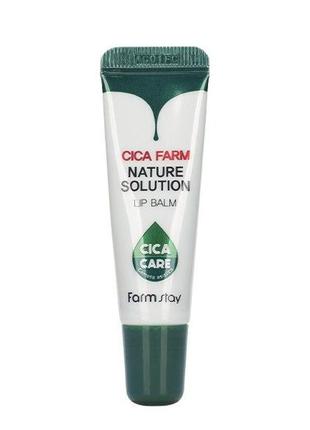 Восстановительный бальзам для губ с центелой азиатской farmstay cica farm nature solution lip balm, 10 гр1 фото