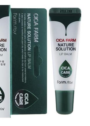 Восстановительный бальзам для губ с центелой азиатской farmstay cica farm nature solution lip balm, 10 гр2 фото