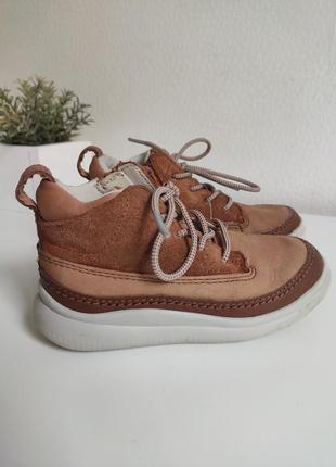 Чоботи ботинки ecco clarks