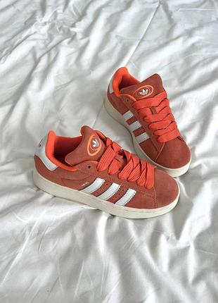 Женские кроссовки adidas Rock campus люкс качество