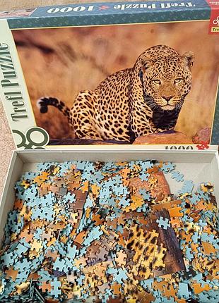 Trefl puzzle пазли головоломка 1000 елементів 68х48 см леопард 4