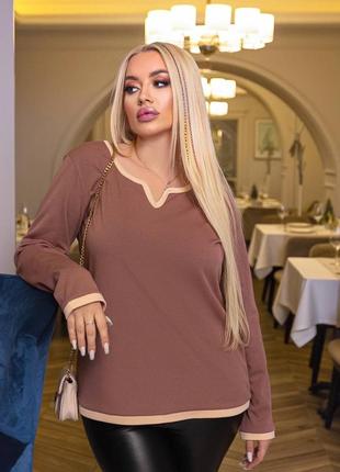 Лонгслив реглан с кантиком рубчик флис 46-56 р-р