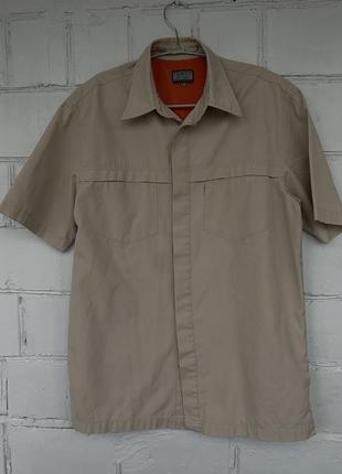 Сорочка бежева teddy’s