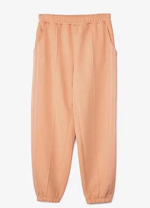 Спортивные штаны adidas ivy park