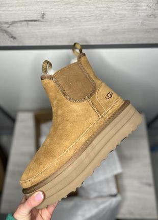Ugg новые