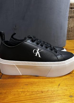 Calvin klein original