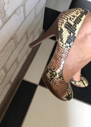 Модні туфлі рептилія під зміїну шкіру funky shocs