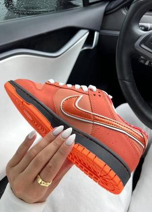 Женские кроссовки nike sb dunk low lobster orange оранжевого цвета3 фото